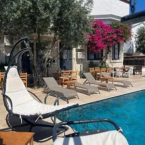  Hotel Albatross